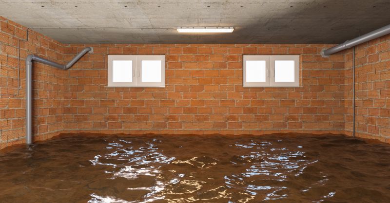 Crawl Space Water Remediation in Chandler, AZ
