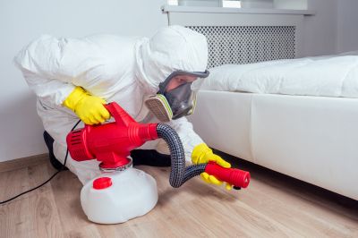 Odor Removal Techniques