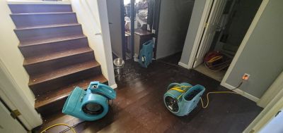 Storm Damage Cleanup in Mesa, AZ