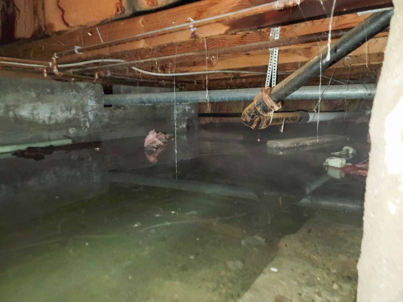 Storm Damage Mitigation in Mesa, AZ